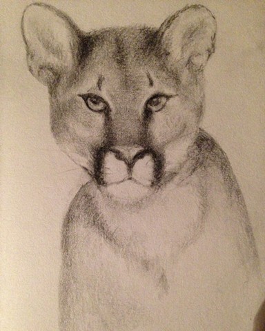 Sajan's Puma