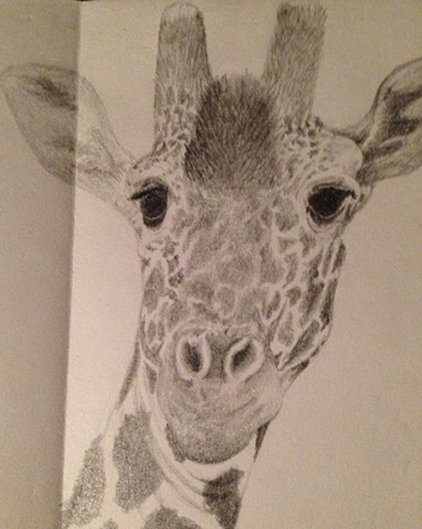 Sajan's Giraffe