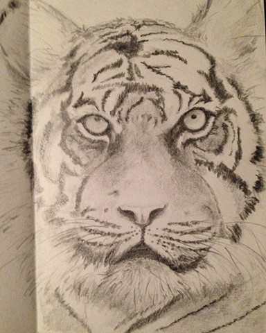 Sajan's Tiger