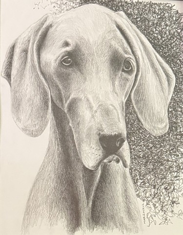 Marshall