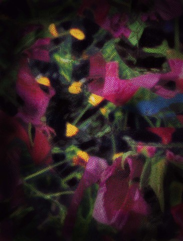 A Garden at Night II