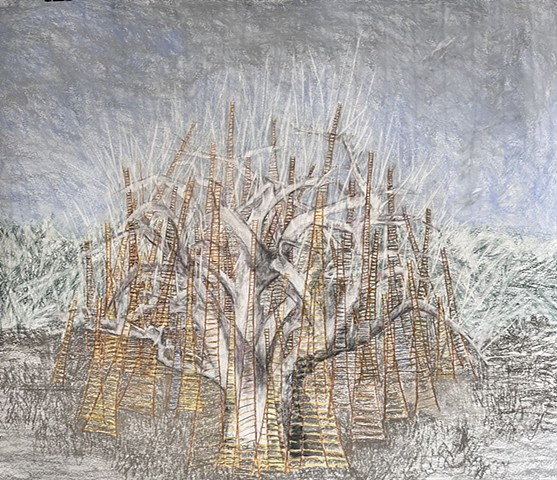 Drawing of a large tree with many ladders leaning against it