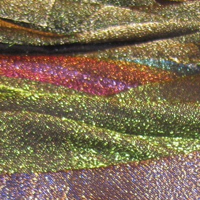 Jacquard Color Studies