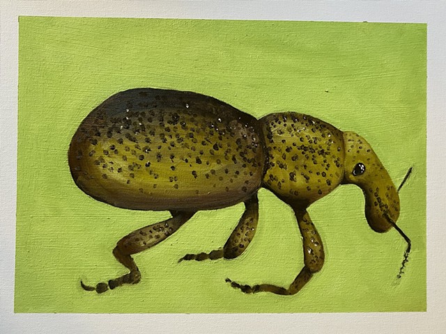 Watchout for Gateway Bugs