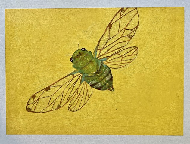 Can You Hear Me Now?