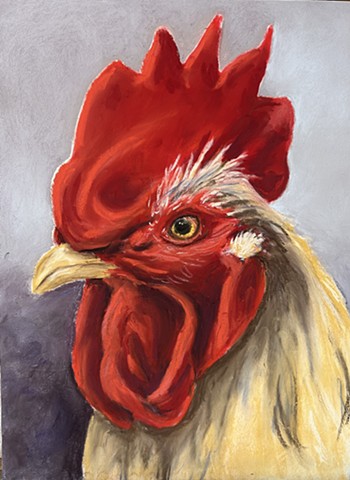 Rooster Portrait