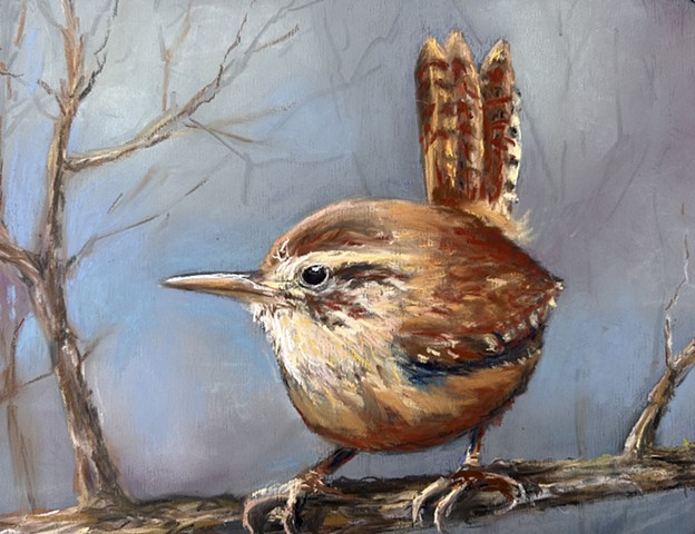 Winter Wren