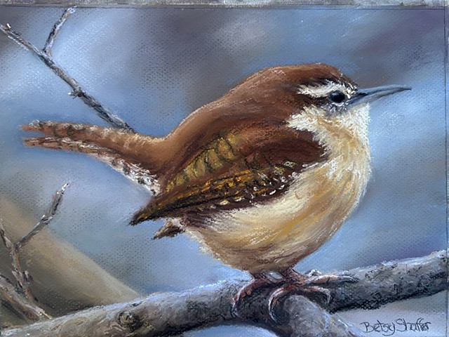  Wren