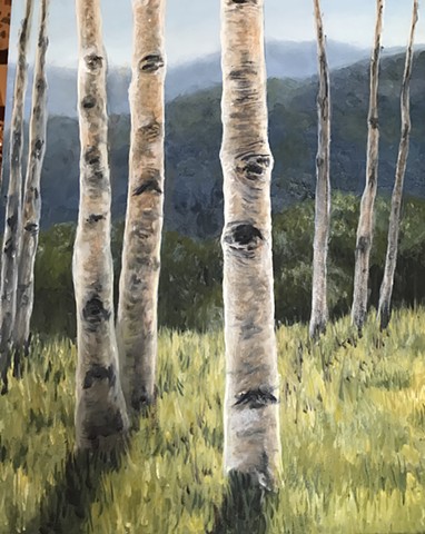 Aspen Trees