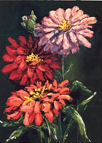 Zinnias