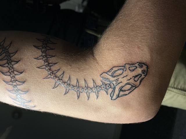 freehand snake pt 3 - 2023