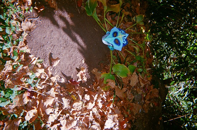 how long can i live inside this dying mother?