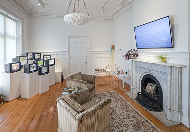 PLANT LIFE & TV OVER FIREPLACE