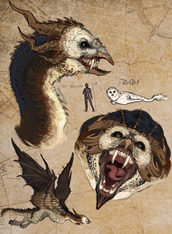 Conceptual Barn Owl Dragon Sketches