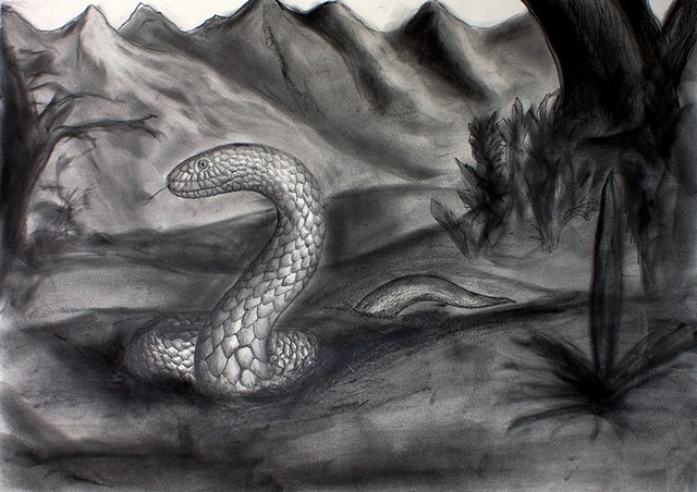 Drawings & Illustrations