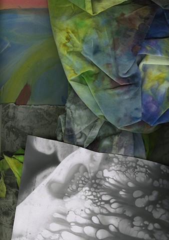 Ecology of the Studio