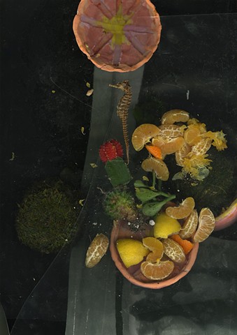 Ecology of the Studio III