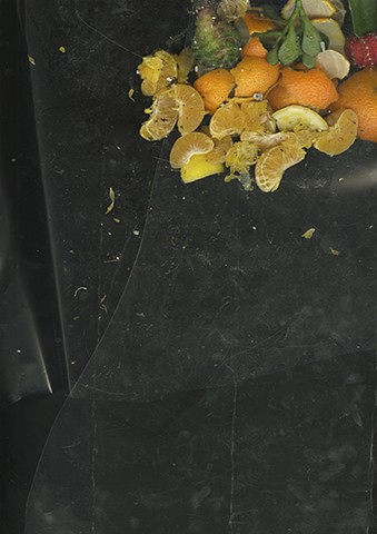 Ecology of the Studio IV