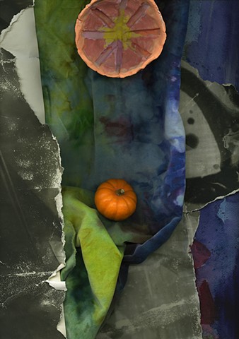 Ecology of the Studio II