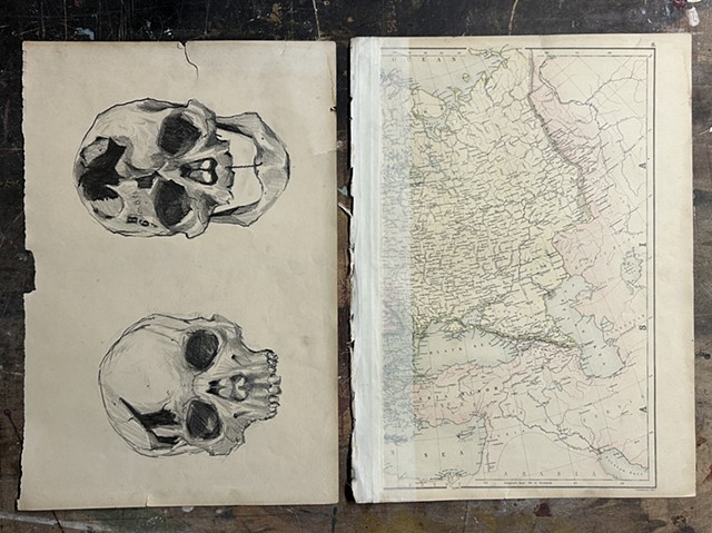 Skull studies