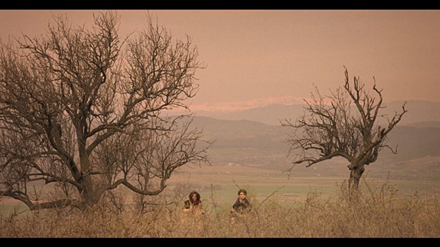 Cinematography - Stills