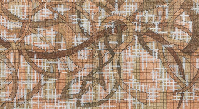 DETAIL of Rooted Conversations: mycorrhizal murmurings