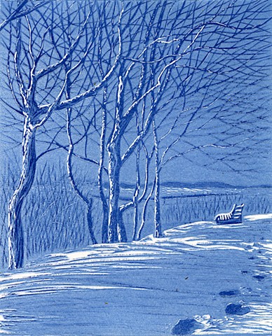 Winter Trees