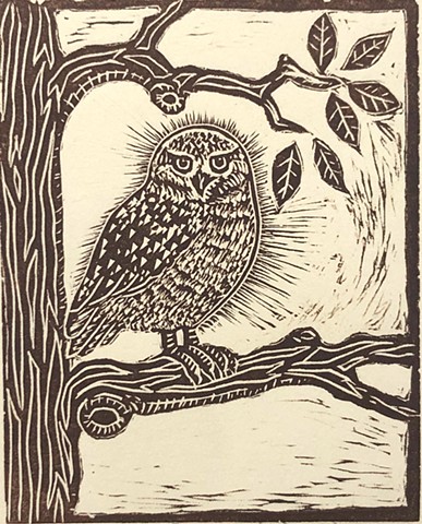 Owl - Sepia