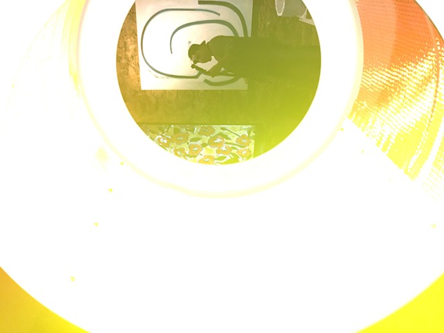 house of space and light