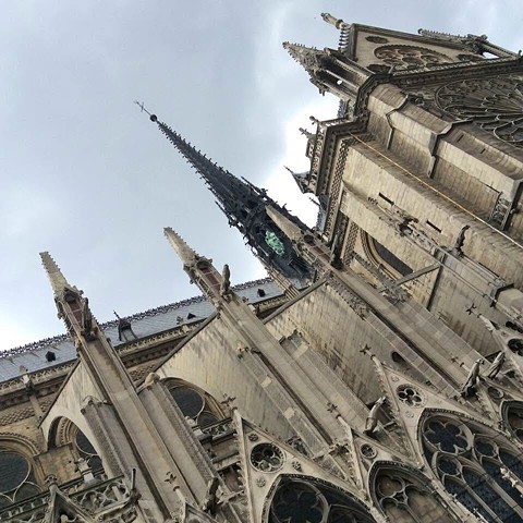 Notre Dame / Paris
