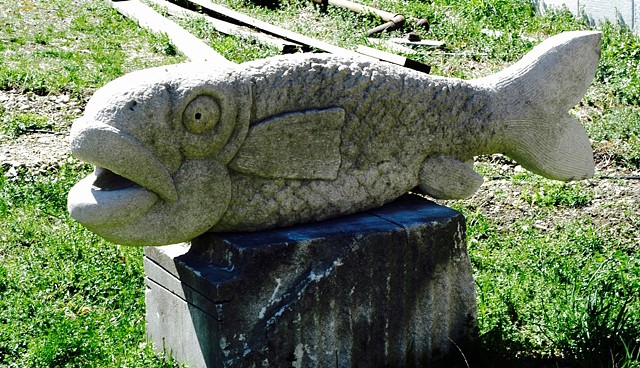 Petrified Fish
