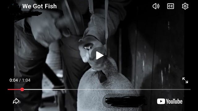 We Got Fish