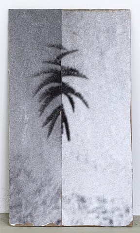 Palm