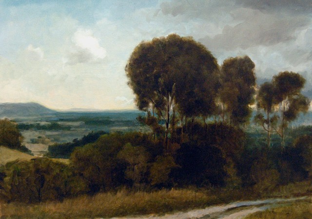 Midsummer on the South Downs