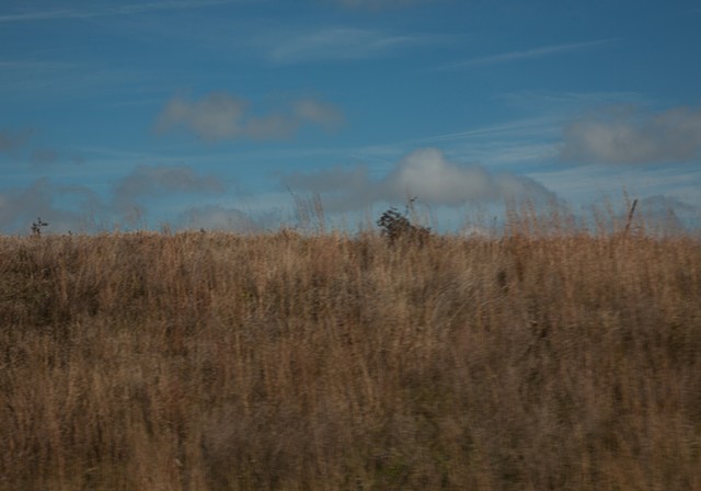Jasper County_0780