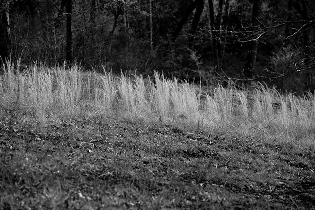 Shadow traces