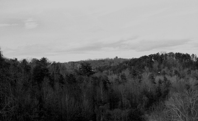 original photographs