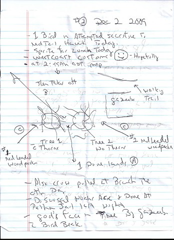 Bird map 2009 pen on paper 11.5in x 8in