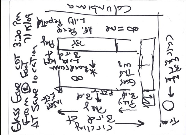 Bird map 2009 pen on paper 11.5in x 8in