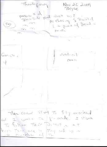 Bird map 2009 pen on paper 11.5in x 8in