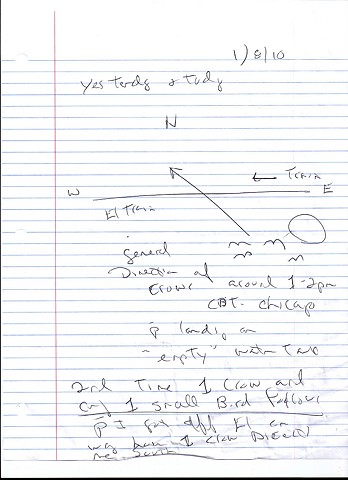 Bird map 2009 pen on paper 11.5in x 8in