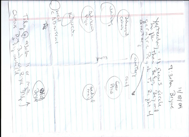 Bird map 2009 pen on paper 11.5in x 8in