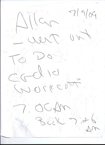 Bird map 2009 pen on paper 11.5in x 8in