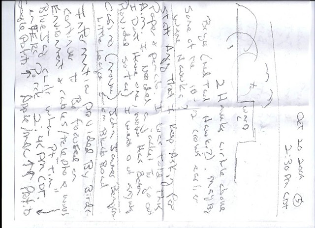 Bird map 2009 pen on paper 11.5in x 8in