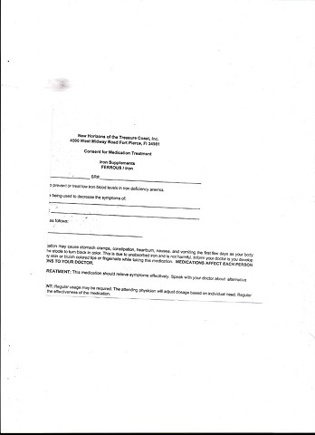 Bird map 2009 pen on paper 11.5in x 8in