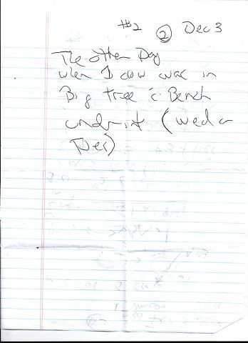 Bird map 2009 pen on paper 11.5in x 8in