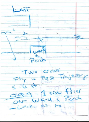 Bird map 2009 pen on paper 11.5in x 8in
