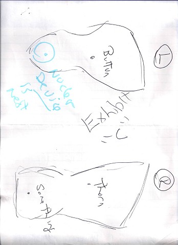 Bird map 2009 pen on paper 11.5in x 8in