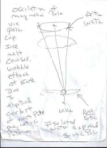 Bird map 2009 pen on paper 11.5in x 8in