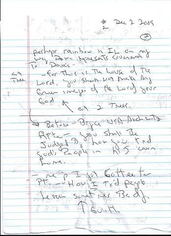 Bird map 2009 pen on paper 11.5in x 8in